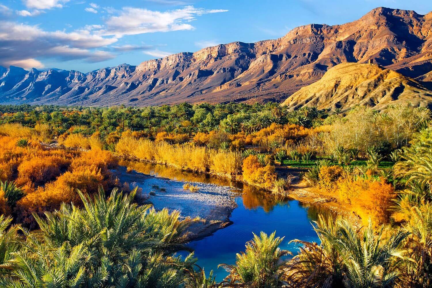 From Marrakech to Fez:Adventure through Morocco's Rich History and Stunning Landscapes