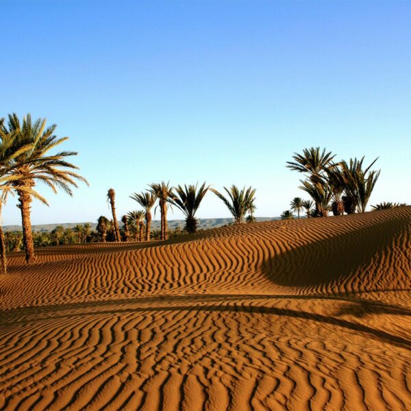 ZAGORA THE DESERT OF ADVENTURES