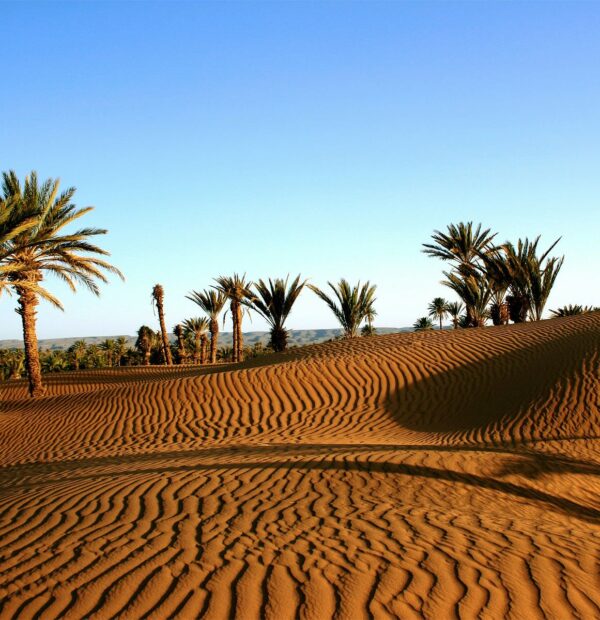 Agadir to Zagora Desert Private Tours, Standard & Luxury Camp.