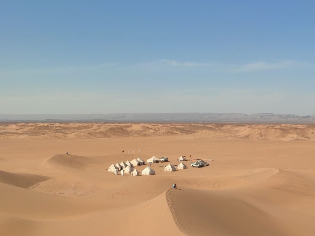 Palm oasis and sandy track near M'Hamid at the edge of the Sahara